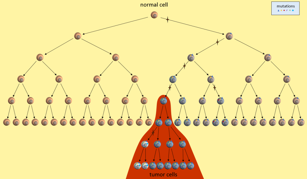 Cancer Models - Understanding Pancreatic Cancer Blog